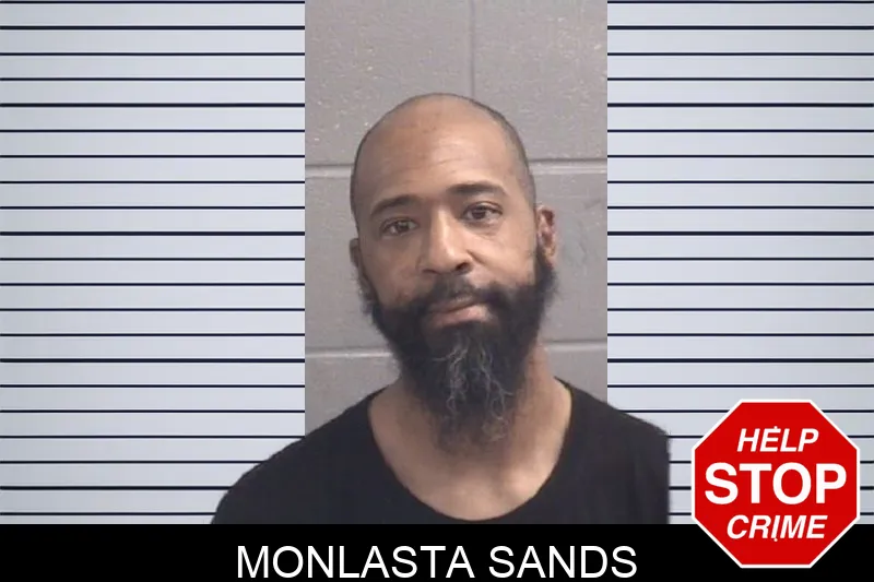 Monlasta Sands mugshot – Spalding County , Georgia Monlasta Sands mugshot