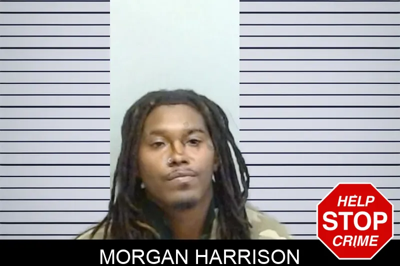 Morgan Harrison mugshot