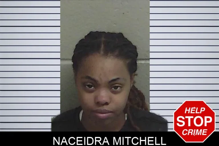 Naceidra Mitchell mugshot – Wayne County , Georgia Naceidra Mitchell
