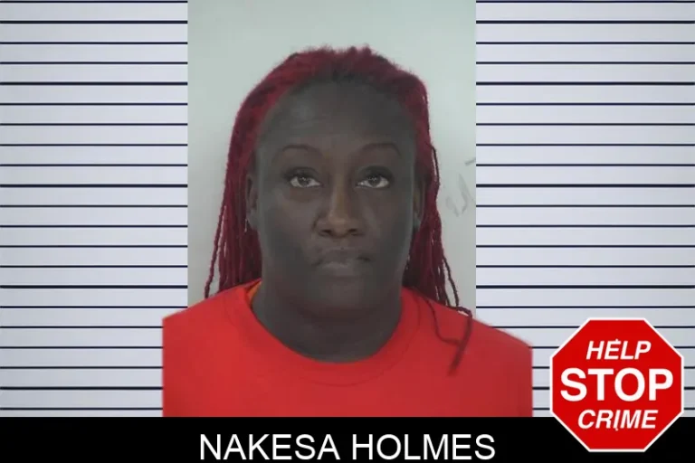 Nakesa Holmes mugshot – Fayette County , Georgia Nakesa Holmes