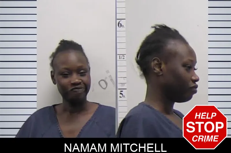 Namam Mitchell Mugshots