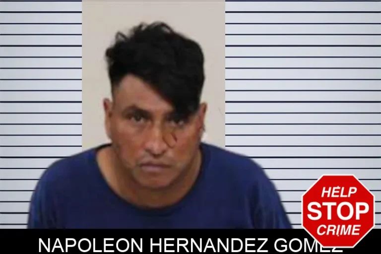 Napoleon Hernandez Gomez