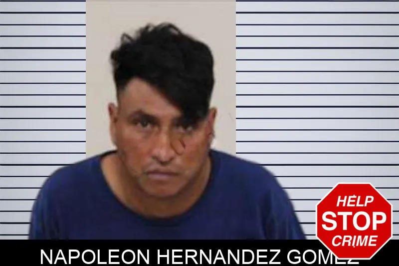 Napoleon Hernandez Gomez