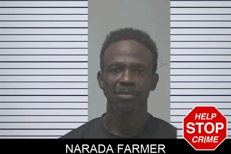 Narada Farmer