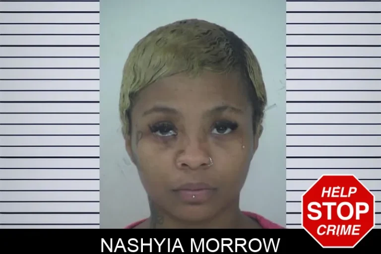 Nashyia Morrow mugshot – Fayette County , Georgia Nashyia Morrow
