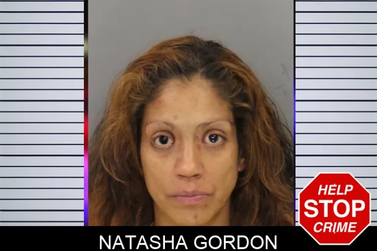 Natasha Gordon mugshot – Cobb County , Georgia Natasha Gordon