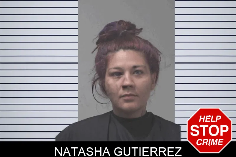 Natasha Gutierrez Mugshots