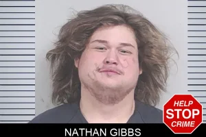 Nathan Gibbs mugshot