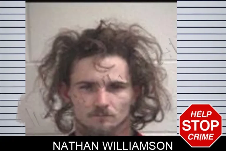 Nathan Williamson mugshot – Henry County , Georgia Nathan Williamson