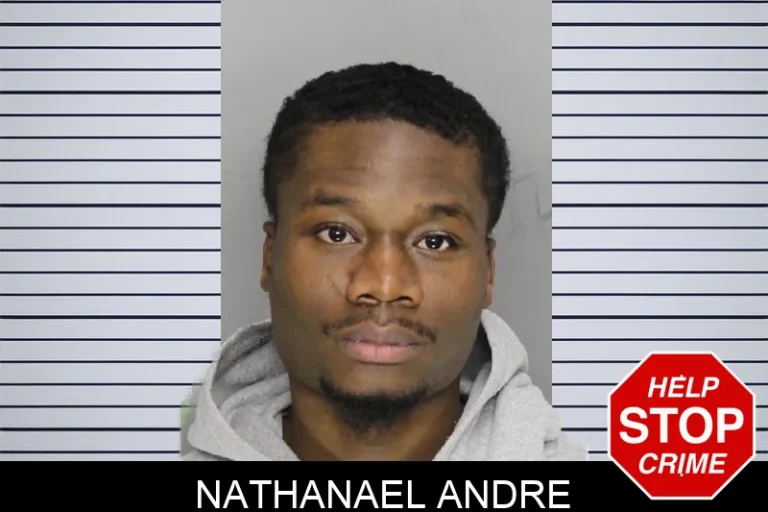 Nathanael Andre mugshot – Cobb County , Georgia Nathanael Andre