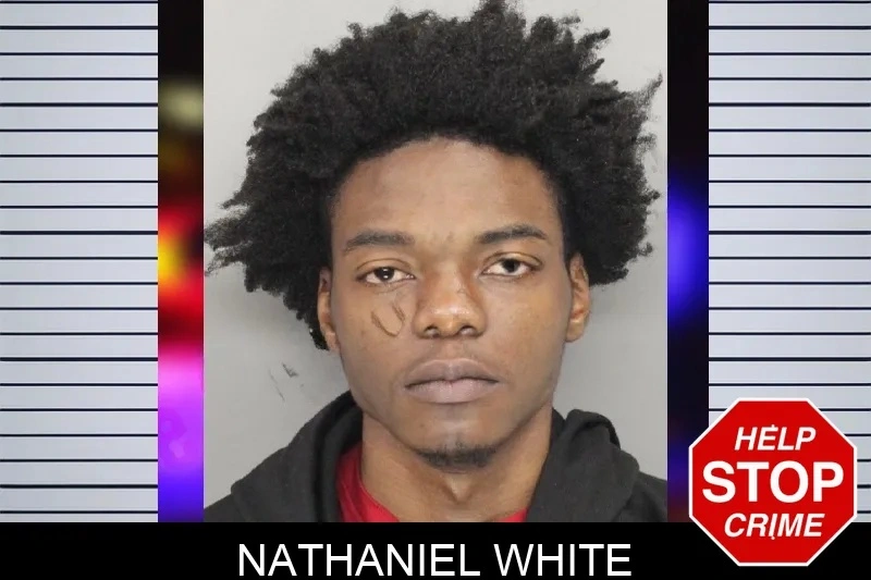 Nathaniel White Mugshots