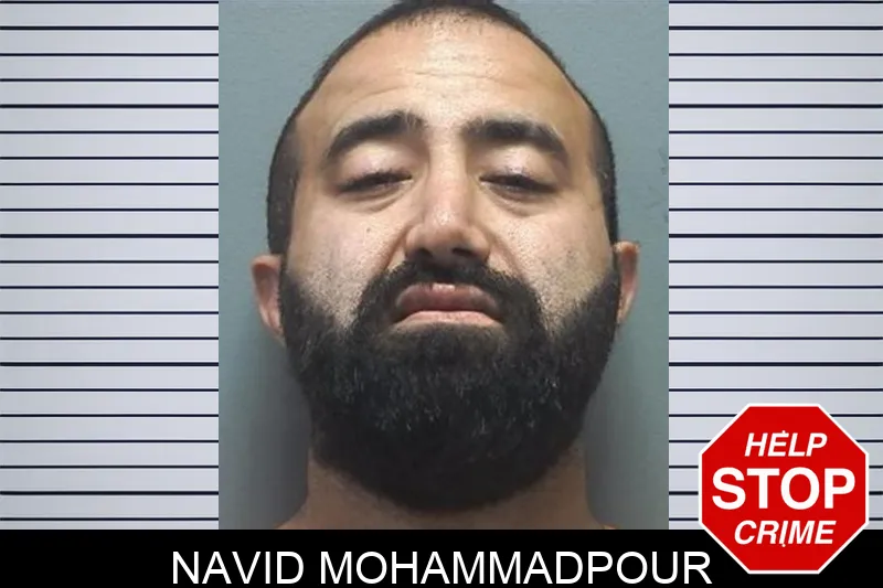 Navid Mohammadpour Mugshots