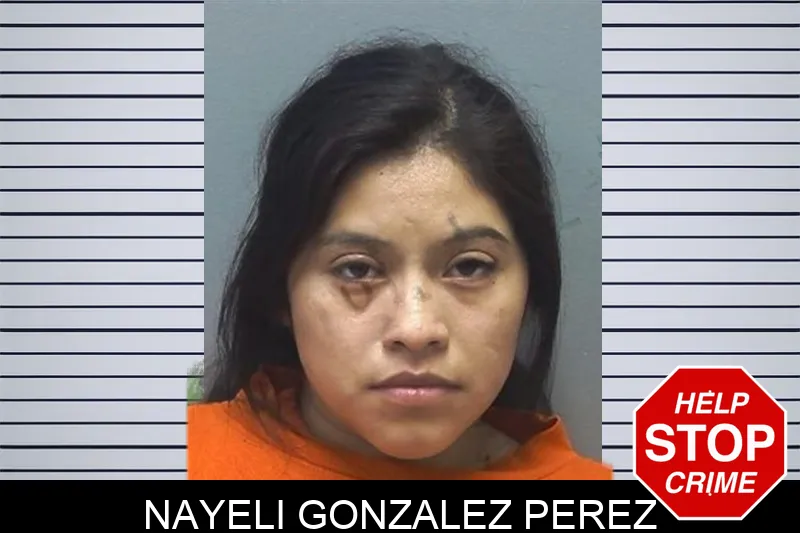 Nayeli Gonzalez Perez mugshot