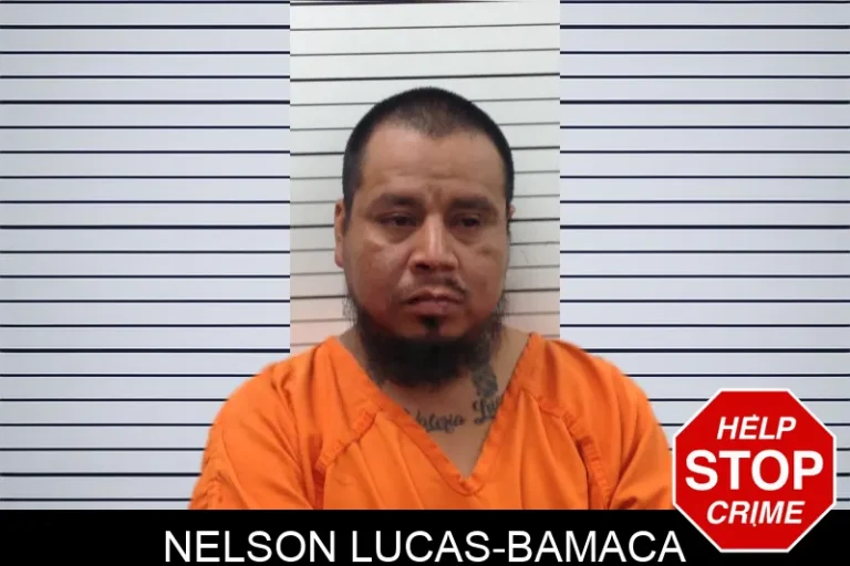 Nelson Lucas-Bamaca mugshot – Pickens County , Georgia Nelson Lucas-Bamaca