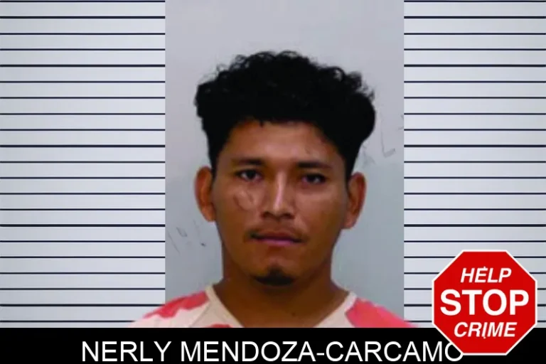 Nerly Mendoza-Carcamo