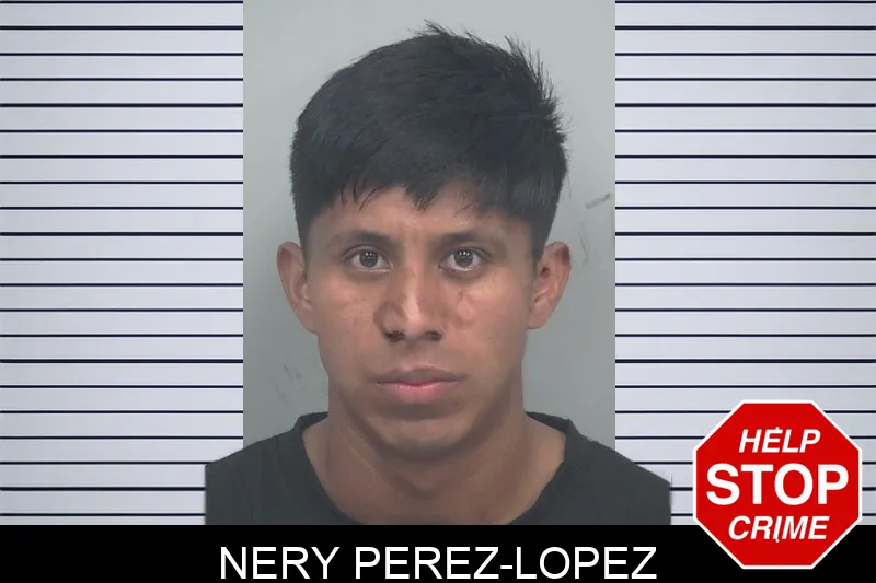 Nery Perez-Lopez mugshot – Gwinnett County , Georgia Nery Perez-Lopez mugshot