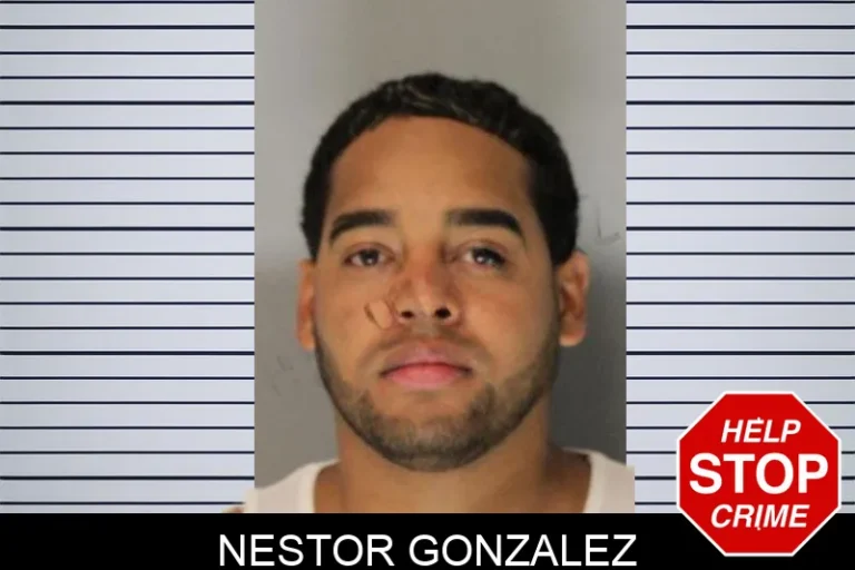 Nestor Gonzalez mugshot – Hall County , Georgia Nestor Gonzalez