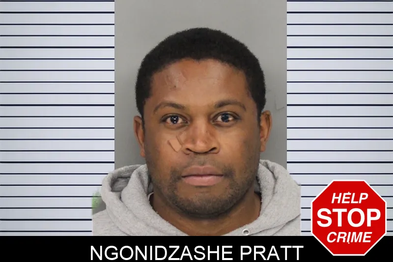 Ngonidzashe Pratt mugshot – Cobb County , Georgia Ngonidzashe Pratt mugshot