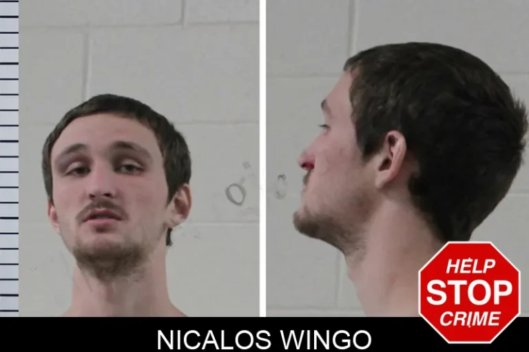 Nicalos Wingo