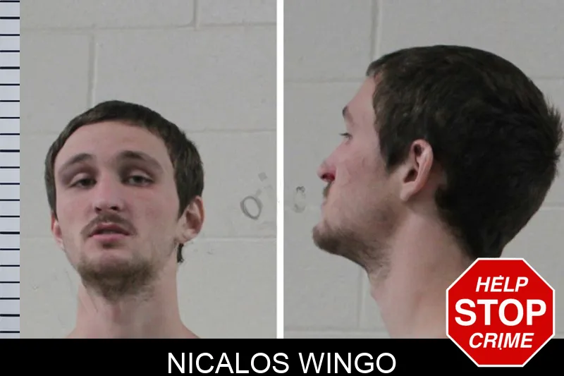 Nicalos Wingo mugshot