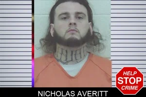 Nicholas Averitt mugshot