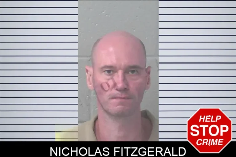 Nicholas Fitzgerald