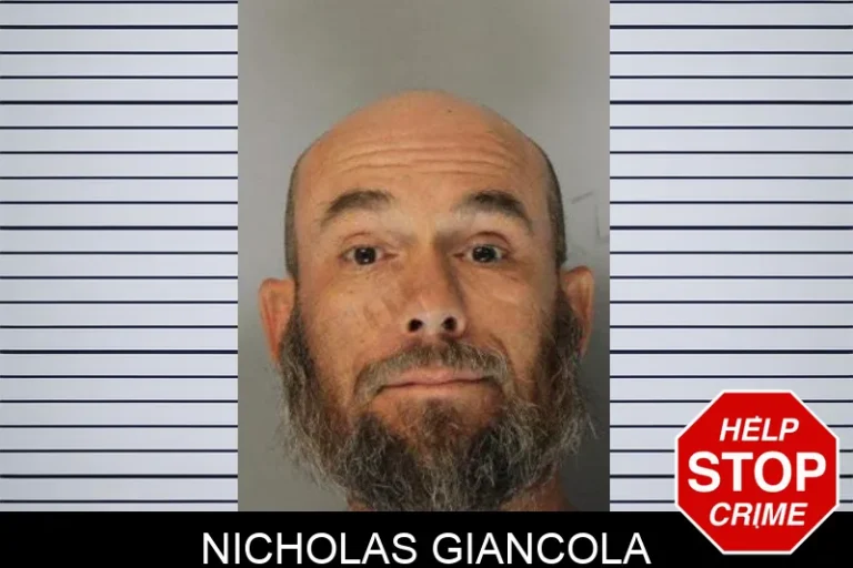Nicholas Giancola mugshot – Hall County , Georgia Nicholas Giancola