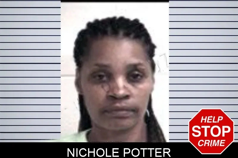 Nichole Potter Mugshots