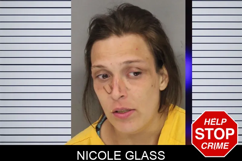 Nicole Glass mugshot