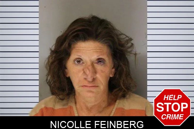 Nicolle Feinberg mugshot
