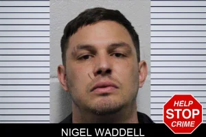 Nigel Waddell mugshot