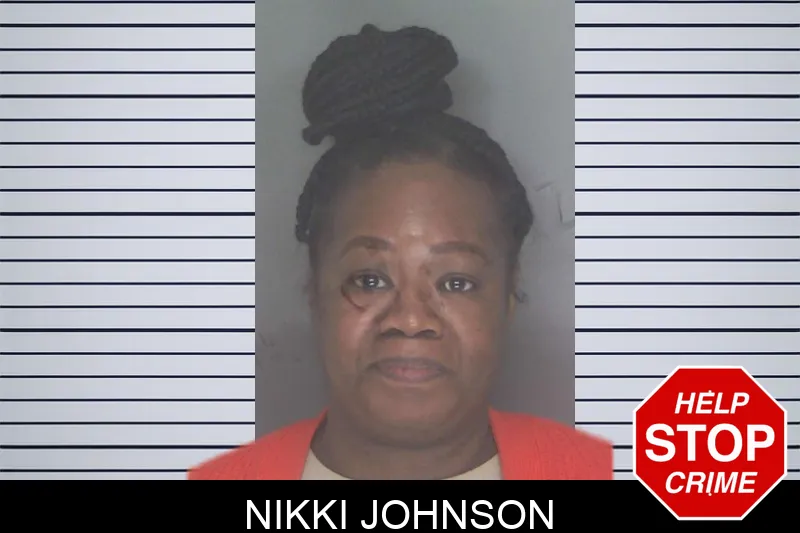 Nikki Johnson Mugshots