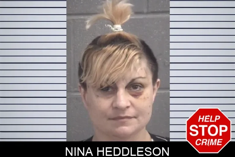 Nina Heddleson