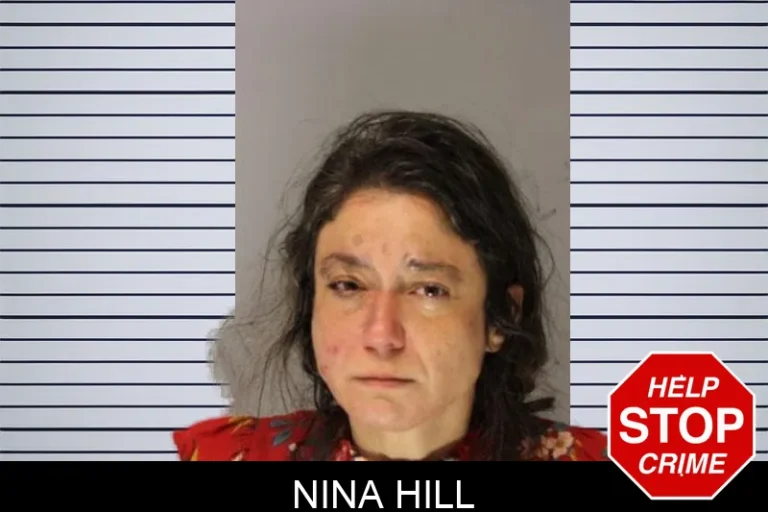 Nina Hill mugshot – Hall County , Georgia Nina Hill