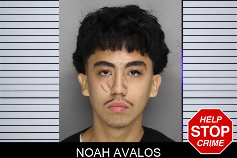 Noah Avalos