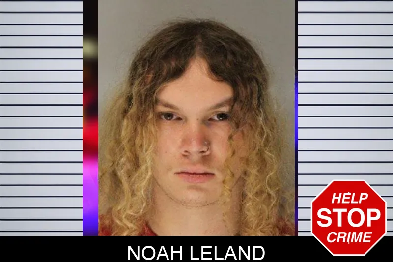Noah Leland mugshot – Hall County , Georgia Noah Leland mugshot