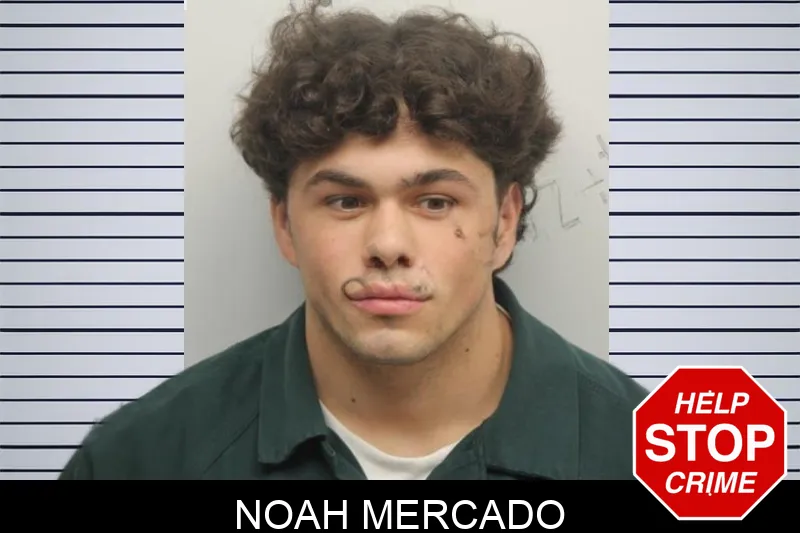 Noah Mercado mugshot