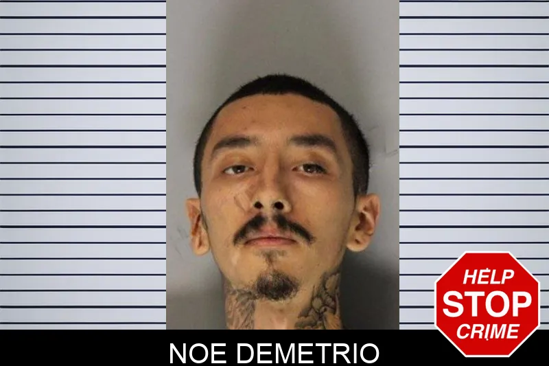 Noe Demetrio mugshot