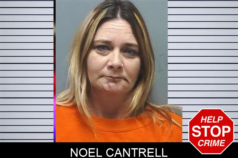 Noel Cantrell mugshot – Cherokee County , Georgia Noel Cantrell mugshot
