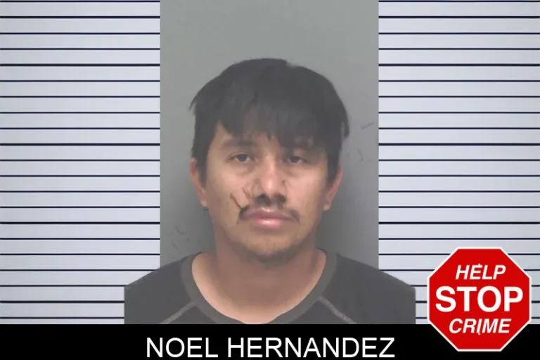 Noel Hernandez
