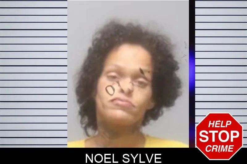 Noel Sylve mugshot