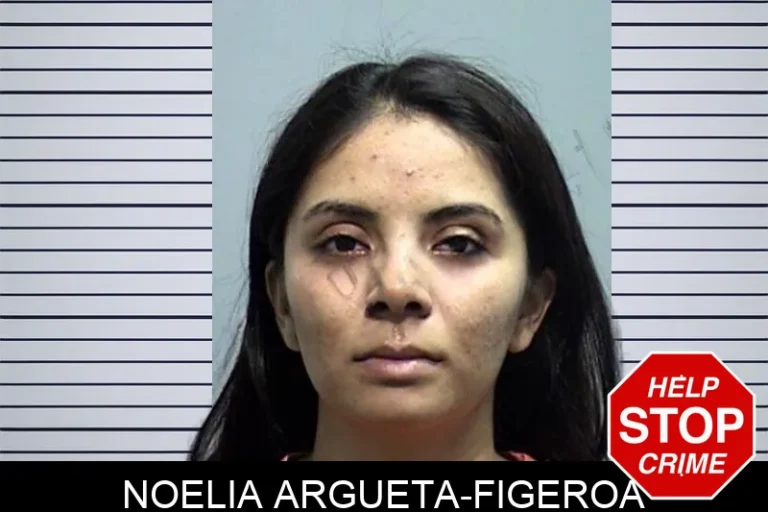Noelia Argueta-Figeroa mugshot – Effingham County , Georgia Noelia Argueta-Figeroa
