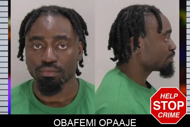 Obafemi Opaaje mugshot – Richmond County , Georgia Obafemi Opaaje