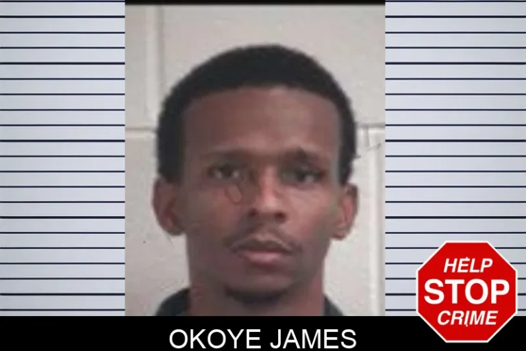 Okoye James mugshot – Henry County , Georgia Okoye James