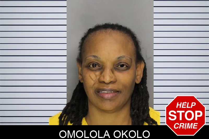 Omolola Okolo mugshot – Cobb County , Georgia Omolola Okolo mugshot