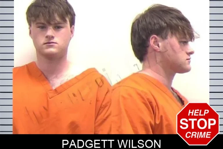 Padgett Wilson mugshot – Clarke County , Georgia Padgett Wilson