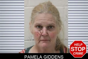 Pamela Giddens mugshot