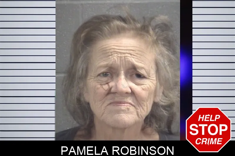 Pamela Robinson Mugshots