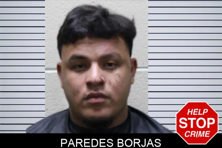 Paredes Borjas