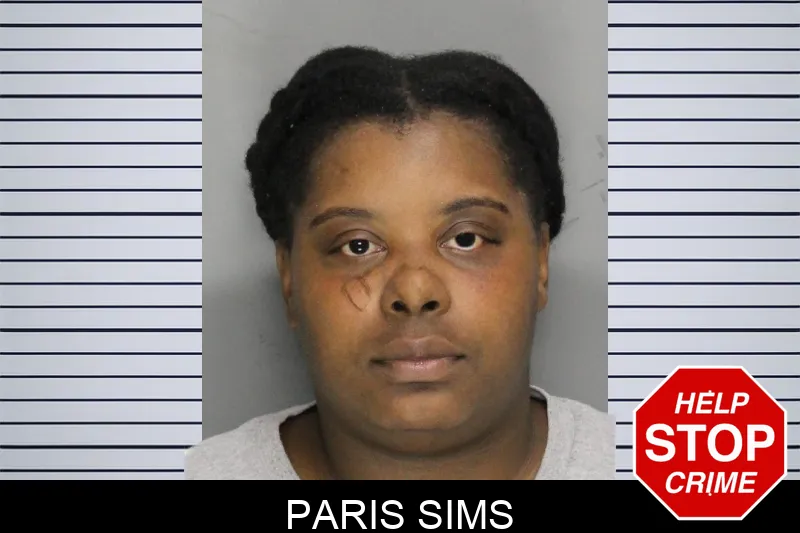 Paris Sims Mugshots